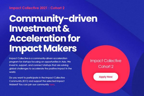 Impact Collective Cohort 2