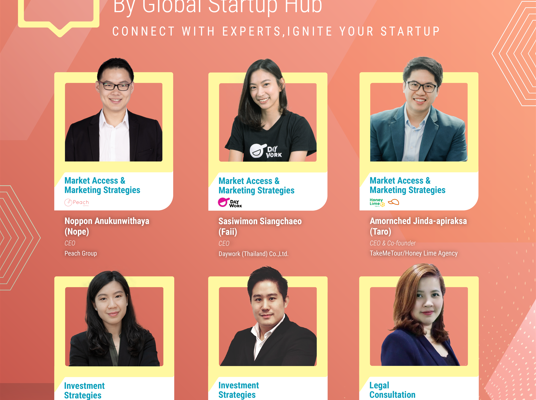 Consultation Service by Global Startup Hub